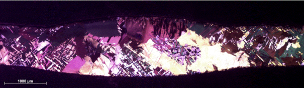 Obraz zawieraj�cy natura, zrzut ekranu, Magenta, fio�ek

Zawarto�� wygenerowana przez AI mo�e by� niepoprawna.